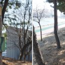 소양보육원앞 이미지