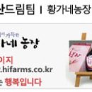 법인솔티 이미지
