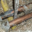 성북-길음-3103 이미지