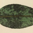 건담한의원 이미지