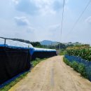 하이시스로지텍 이미지