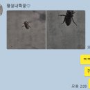 여니베리