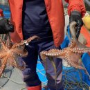 연화민박 이미지