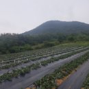 재호농장 이미지