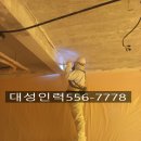 대성인력개발 이미지