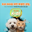 주식회사 케이케어 이미지