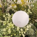 미네 | 자연스럽고 촉촉한 데일리 생얼쿠션 추천 아쉐미네 글로우 쿠션 솔직후기