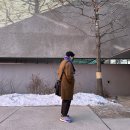 목스(Mox) 이미지