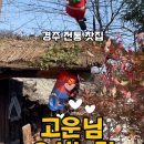 고운님오시는길 이미지