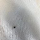 새싹 동물병원 이미지