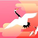 파란성형외과의원 이미지