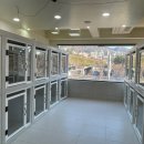 코모네펫하우스 | 부산강아지호텔 코모네하우스 강아지미용도 함께한 애견호텔 후기