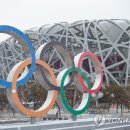 [쇼트트랙/스피드/기타]"베이징올림픽 관심 있다" 32% 불과…4년 전 평창땐 71%(2022.01.21) 이미지