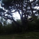 내천경로당 이미지