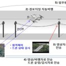 고흥우체국 이미지