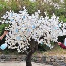 달빛가득 이미지