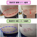 365소사벌종합의원 이미지