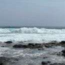 기정목장 이미지