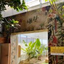 바오밥베이커리카페