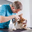 이수케어 이미지