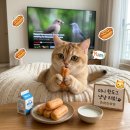 한입핫도그 | 오뗄 한입핫도그 1kg] 내돈내산-솔직후기, 아침 대용 및 아이 간식 추천