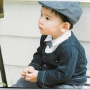 꼼바이꼼 이미지