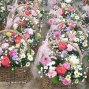 지장초등학교병설유치원 이미지