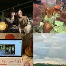 7월 둘째주 일상 기록 PHOTO DUMP