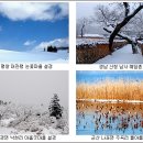 겨울 눈사진 촬영지...전국 국립공원 및 사찰 이미지