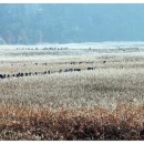 경관농장 이미지