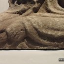 원광대학교박물관 이미지