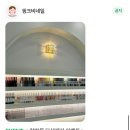 슈니네일 | [미금역네일] 미금역 신상 네일샵 핑크비네일💅 내돈내산 강추강추🩷(오픈이벤트로 타샵제거 무료, 할인...