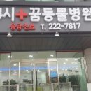 24시꿈동물병원 네이버블로그