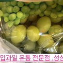 성심유통 이미지