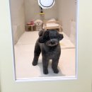 머뭉공간 이미지