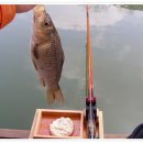 자연 농원 이미지