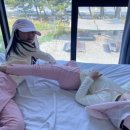 오구시포펜션