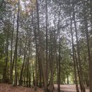 도시N공인중개사사무소 이미지