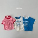 서퍼랜드 이미지