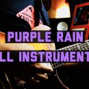 “Purple Rain” - A Tribute to Prince (Full Song Instrumental) 이미지