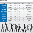 몰링 이미지