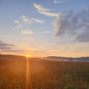 고서한국의원 이미지