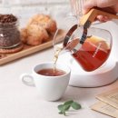 리치오션 이미지