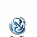 푸르미르 태권도장 이미지