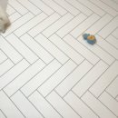 금비동물병원 이미지