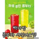 머스캣 | 빽다방 신메뉴 제로슈거 콤부차 샤인머스캣 후기