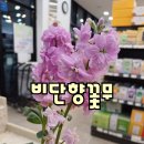 더벤티상주점