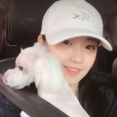 벨라루시 펫살롱 이미지