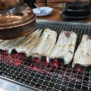 SELF 장어세상 이미지