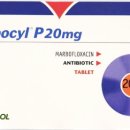 초코약국 이미지